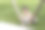 公园里的小女孩图片下载