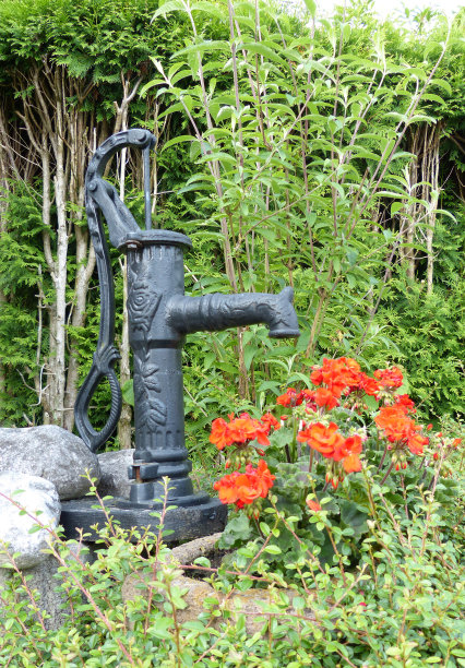 花园花卉泵图片下载