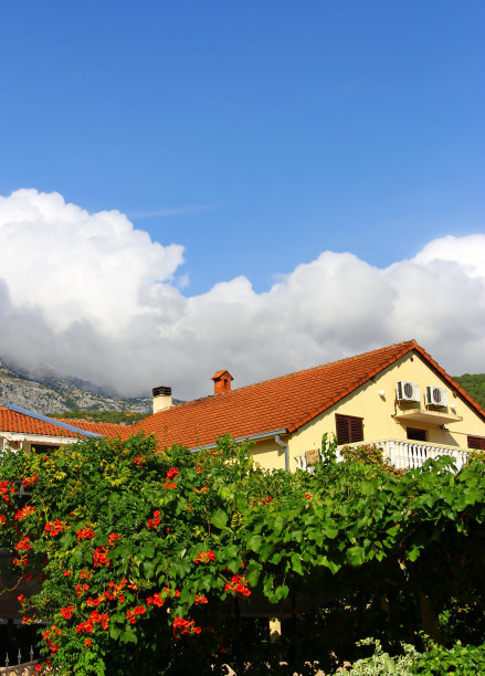 花园和房子图片下载