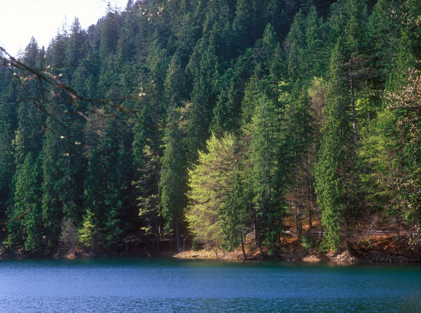 Synevir湖。图片下载