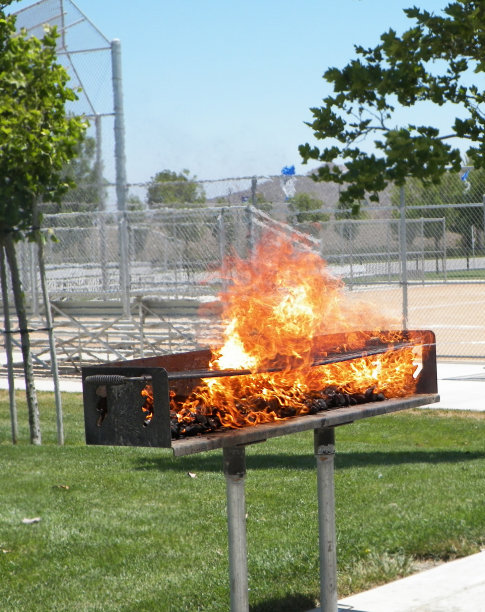 火焰的烧烤图片下载