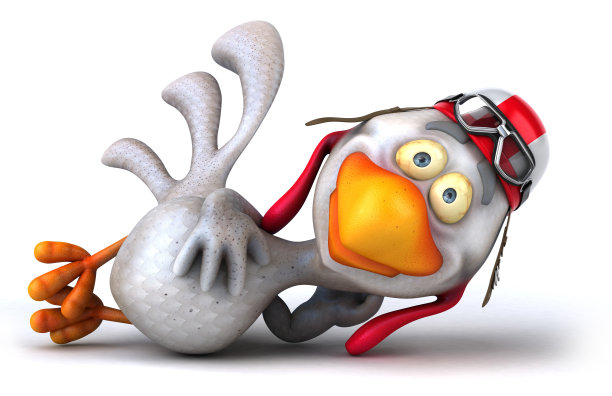 有趣的鸡图片下载