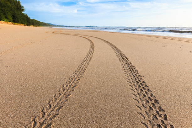 金色沙滩上的足迹图片下载