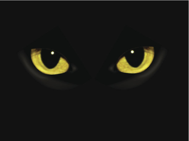 猫的眼睛图片下载