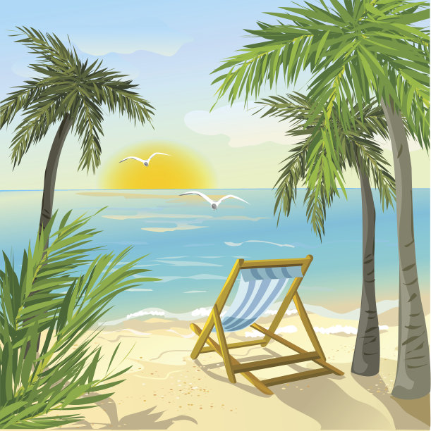 岸边有棕榈树和日出素材图片