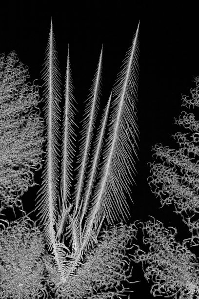 冷淡的模式图片下载