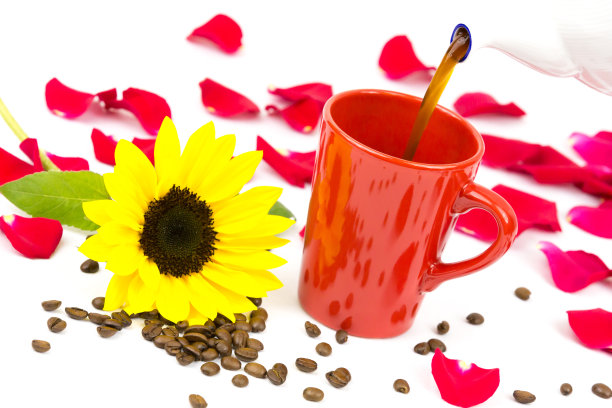 卡菲塔斯·艾因吉森 4图片下载