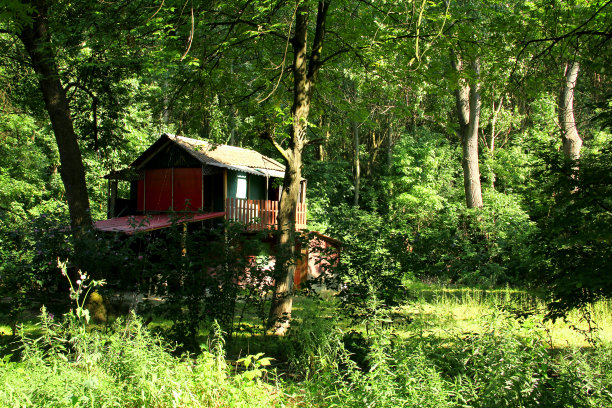 森林中的房子图片下载