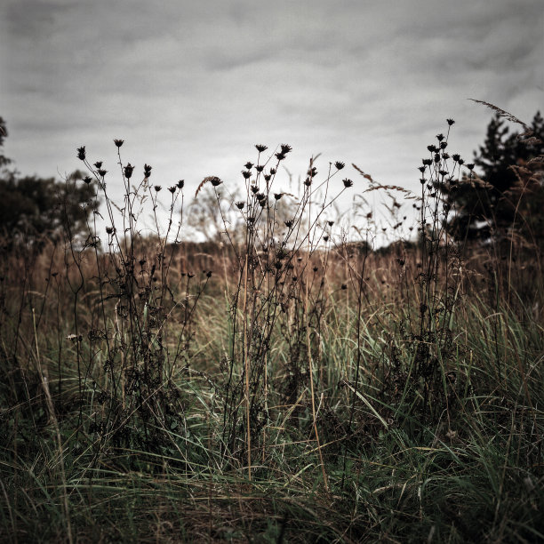 秋景广场拍摄图片下载