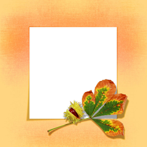 秋天的叶子图片下载