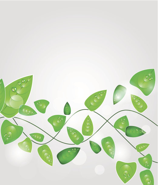 绿色的树叶图片下载