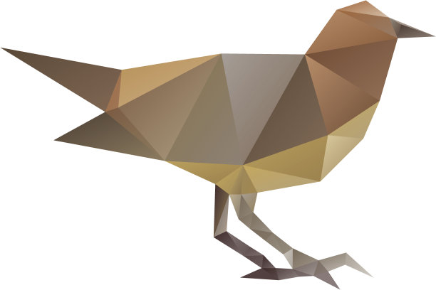 鸟孤立在白色背景上图片下载