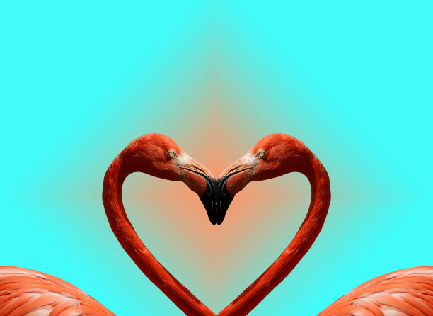 春天与杨树绒毛绿草过敏背景图片下载