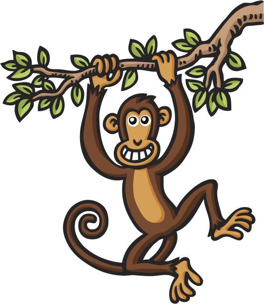 猴子图片下载
