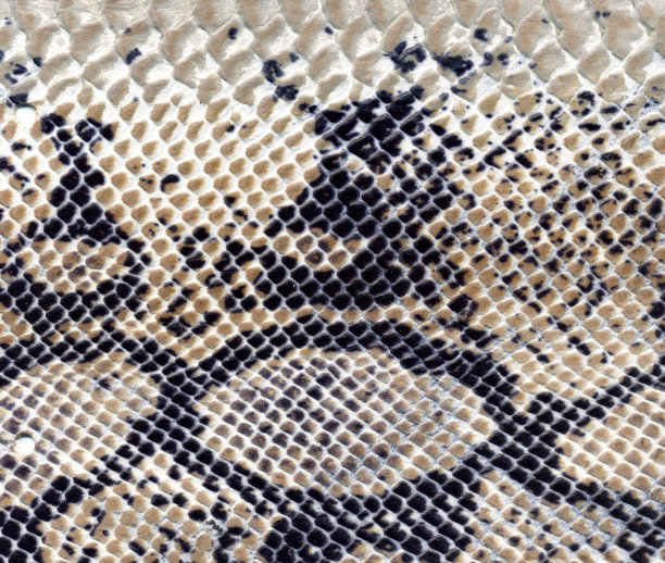 皮革质地的背景图片下载