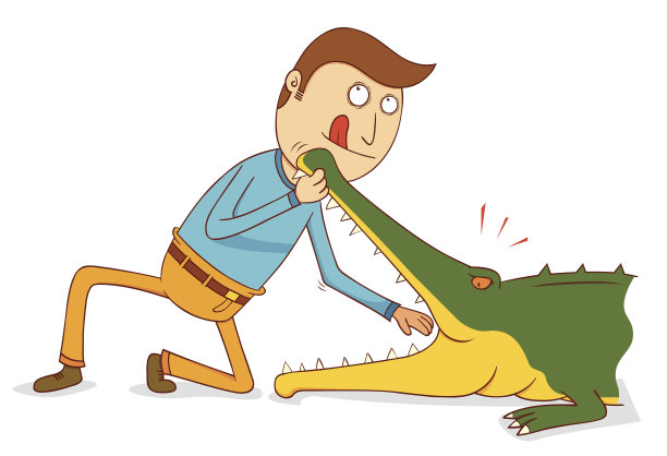 鳄鱼表演——不要在家里尝试图片下载