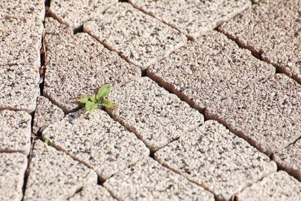 旧石地板的质感图片下载