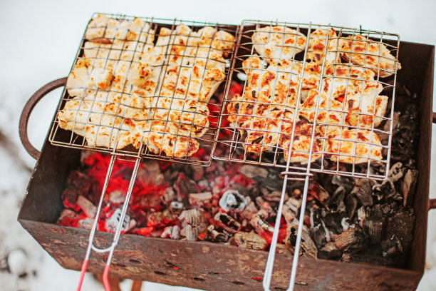 烧烤架。图片下载