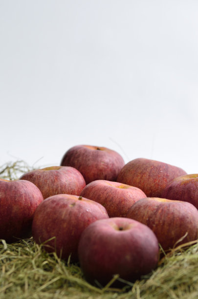 梅兰努尔卡图片下载