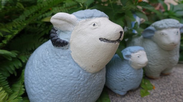 绵羊家在花园里图片下载