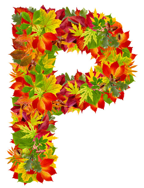 P,秋天的字母图片下载