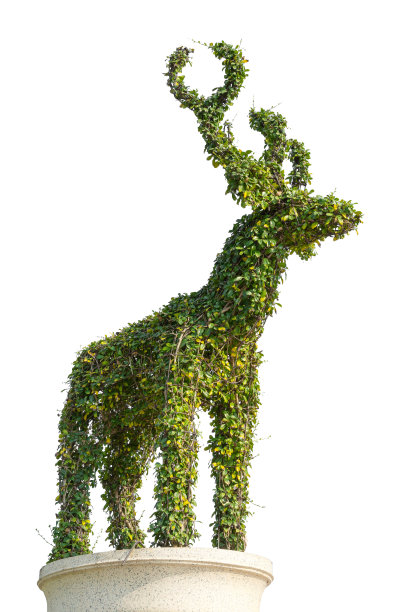 鹿雕像拜铁丝树孤立上白图片下载