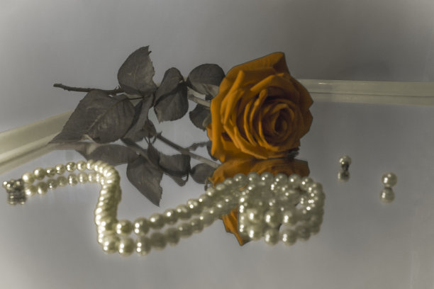 玫瑰和珍珠图片下载