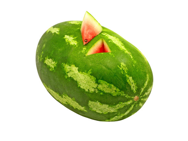 成熟的西瓜。图片下载