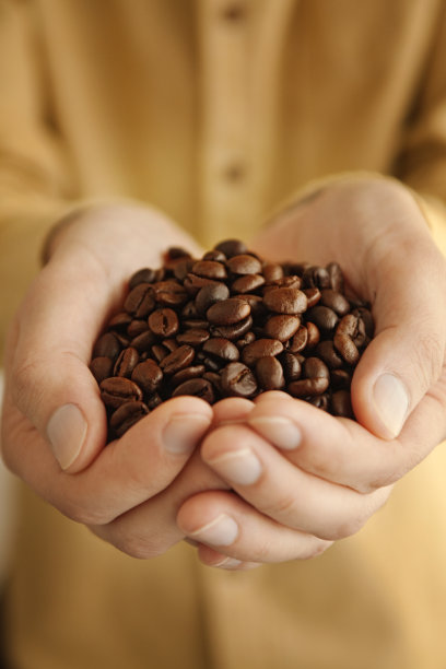 手拿咖啡豆图片下载