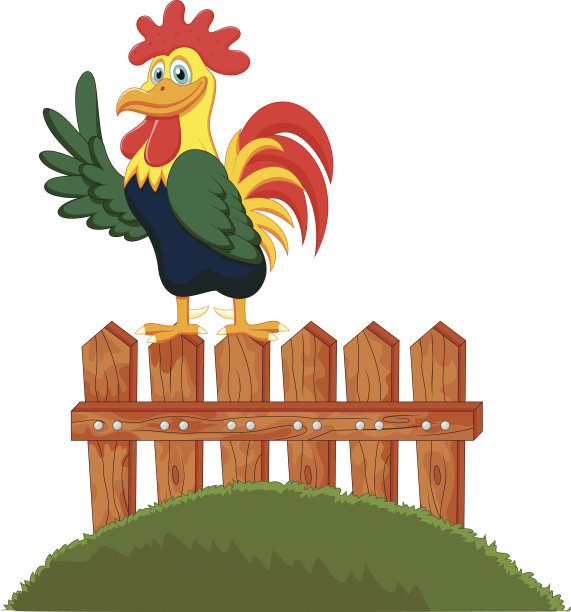 可爱的卡通公鸡在篱笆上啼叫图片下载