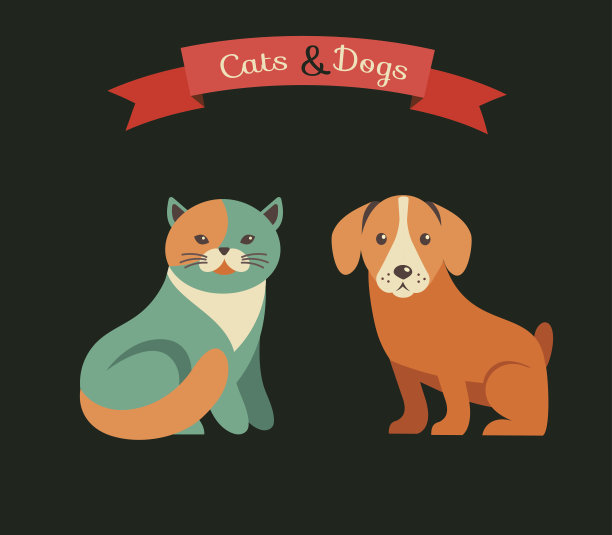 猫和狗的信息图与矢量图标集图片下载
