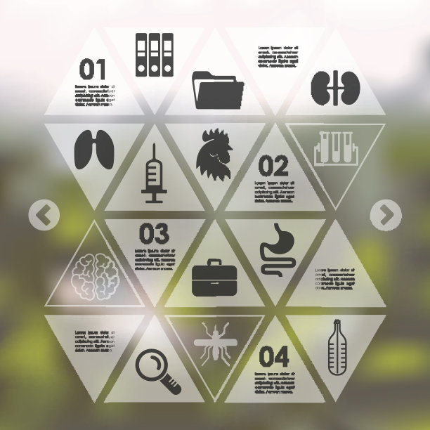 没有重点背景的兽医信息图表图片下载