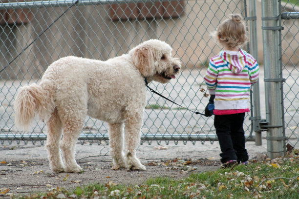 女孩和她的宠物狗图片下载
