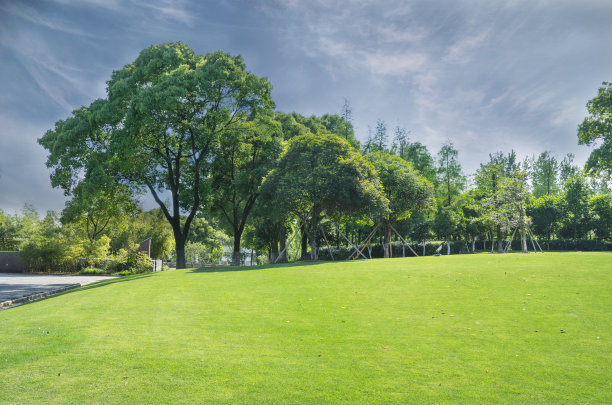 草坪上图片下载