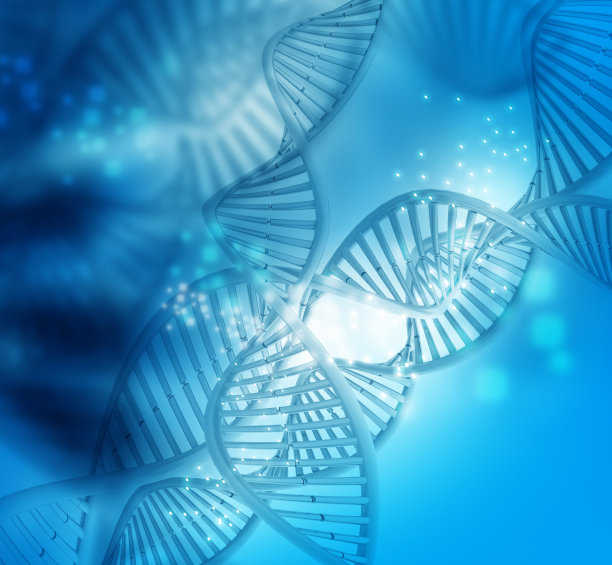 DNA结构图片下载