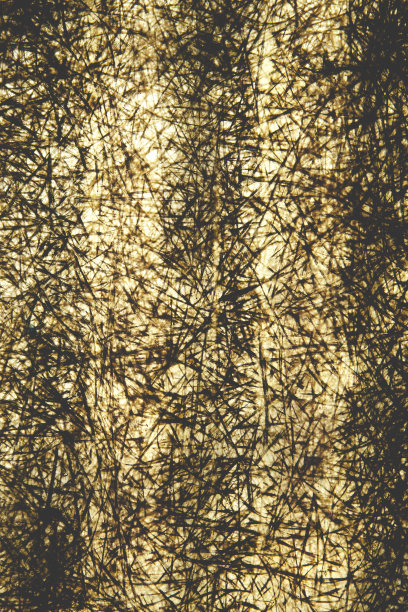 聚碳酸酯板上的阴影。图片下载