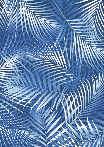 热带蓝色棕榈叶，白色和蓝色图片下载