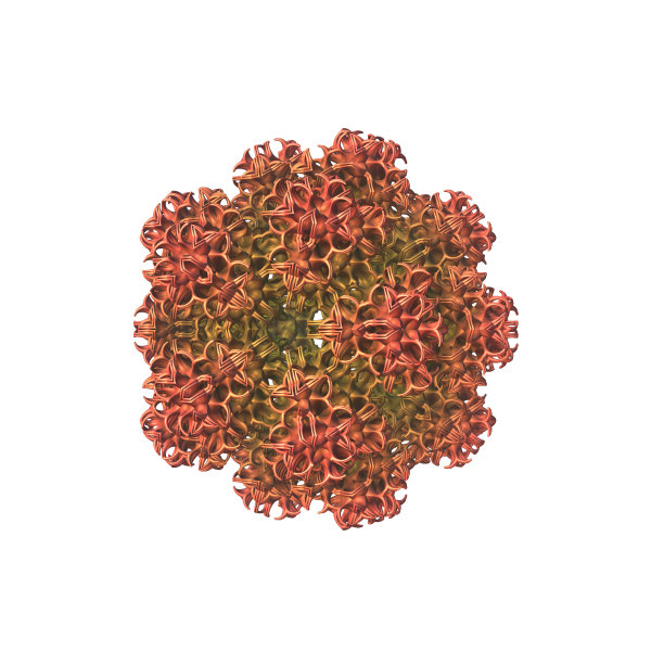 五颜六色的金属状分形花朵图片下载