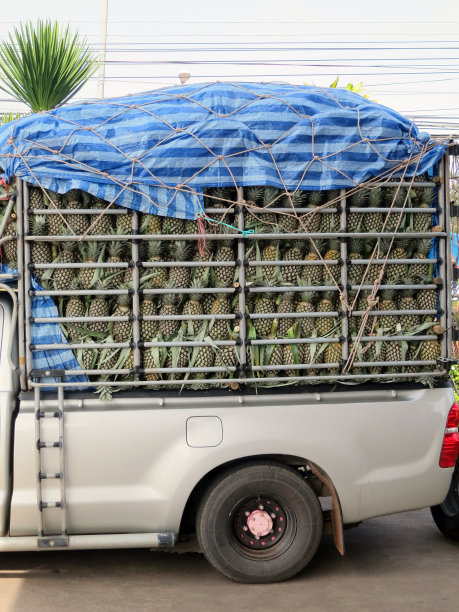 运输菠萝图片下载