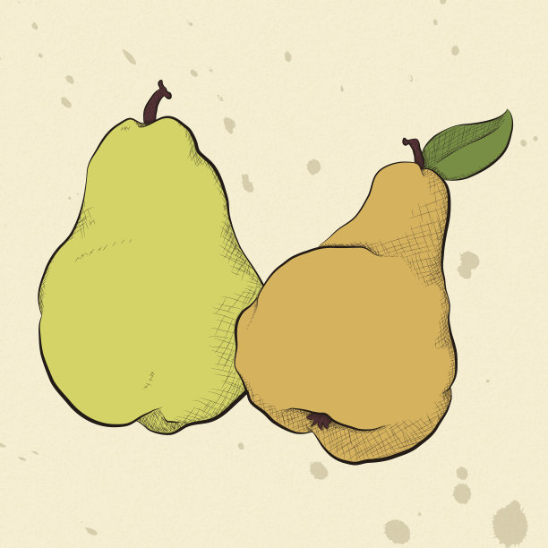 古典风格的梨图片下载