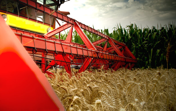 联合收割机图片下载