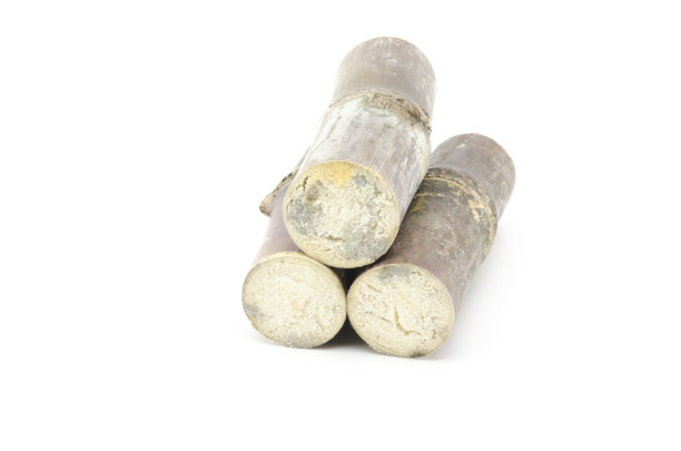 三根甘蔗孤立在白色上图片下载