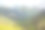 巨大的牦牛跑下山，天山图片下载