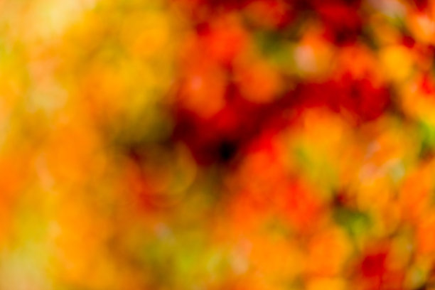 秋天的散景。图片下载