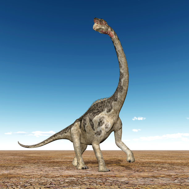 恐龙欧罗巴龙图片下载