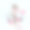 背景与花康乃馨和锚图片下载
