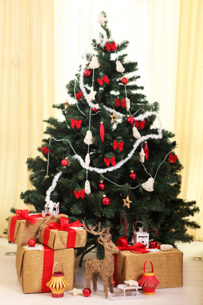 圣诞树图片下载