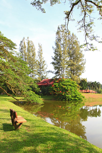 湖边的木椅图片下载