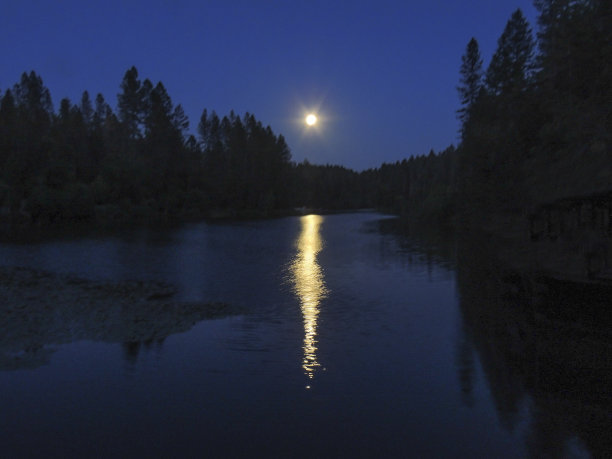 蜂蜜月亮图片下载