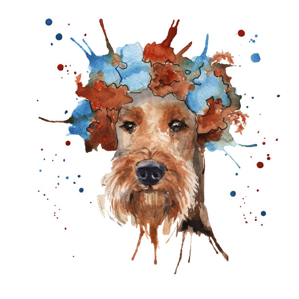 狗的口吻。孤立。水彩图片下载